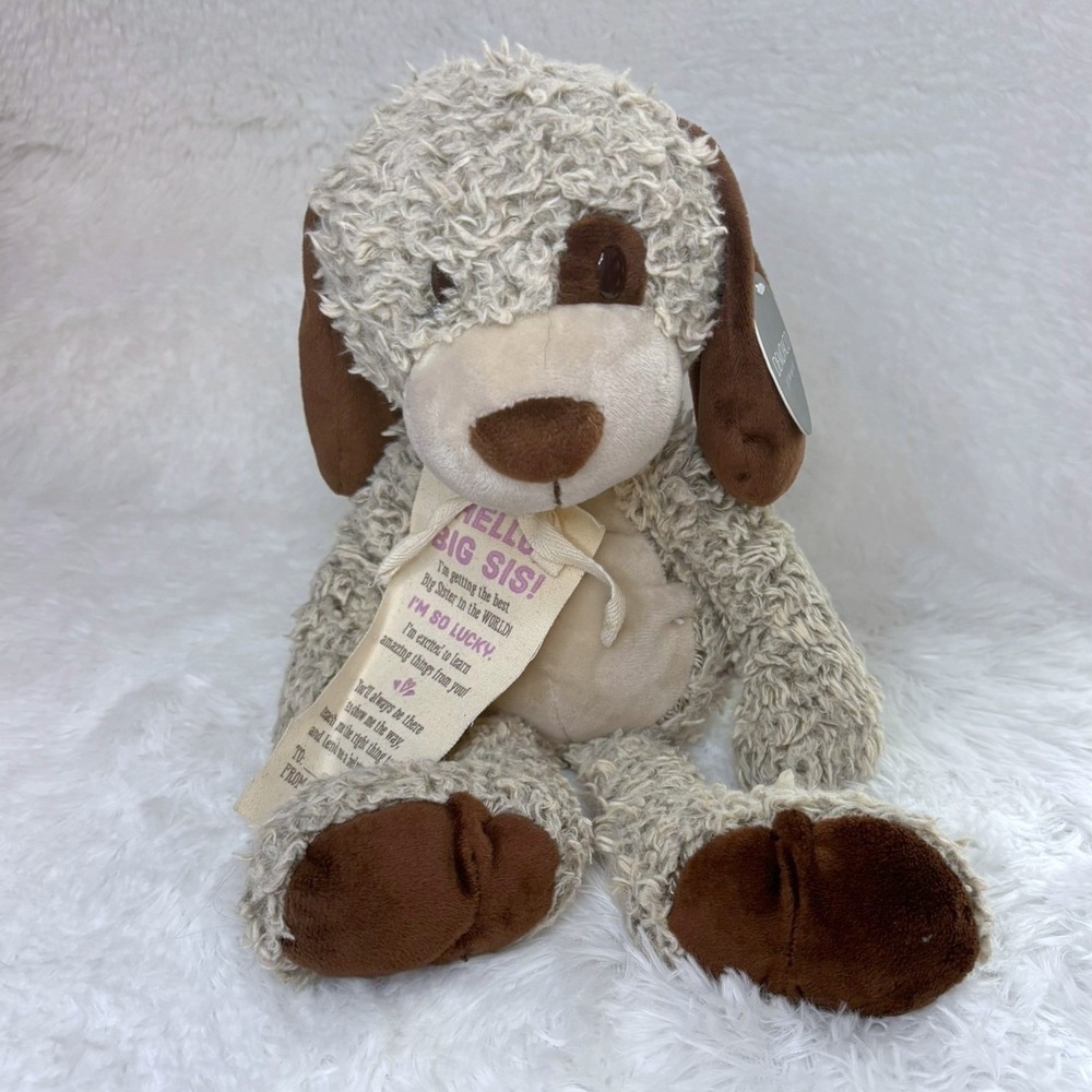 DEMDACO Best Big Sis Plush Puppy Dog Stuffed Animal Brown Tan New Sibling Sister